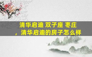 清华启迪 双子座 枣庄，清华启迪的房子怎么样
